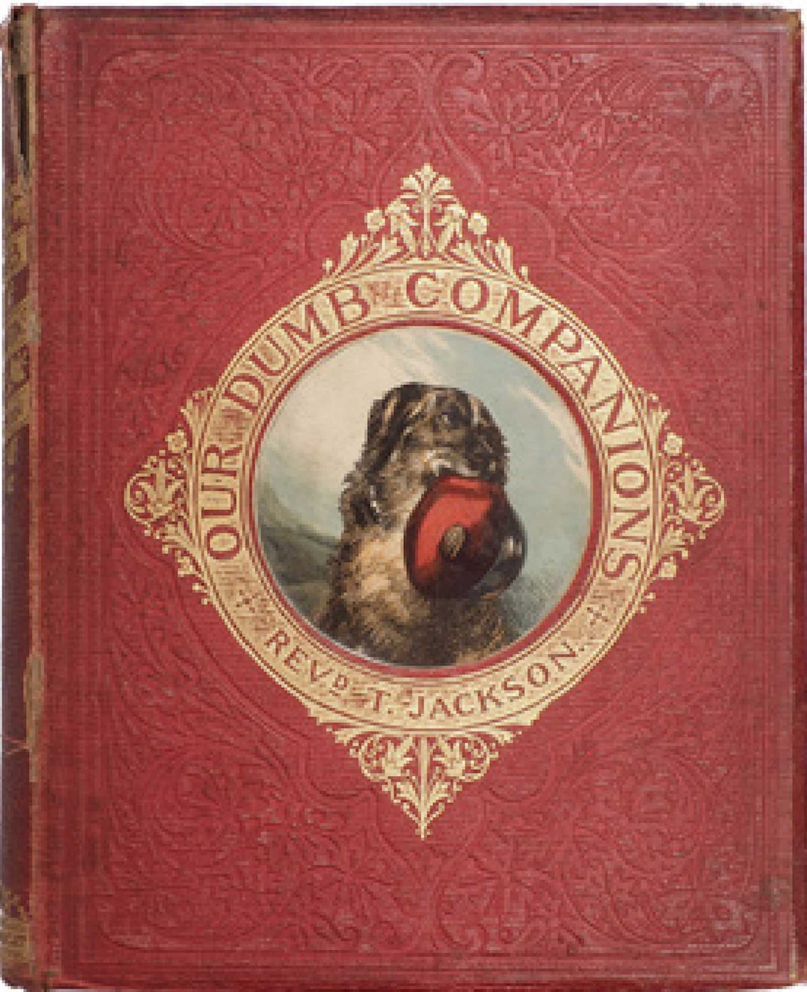 Our Dumb Companions by Thomas Jackson