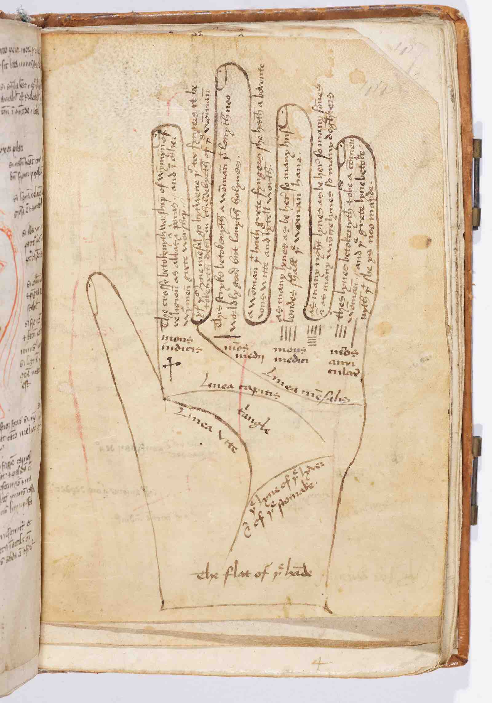 15th Century palm reading drawing, MS. Digby 88