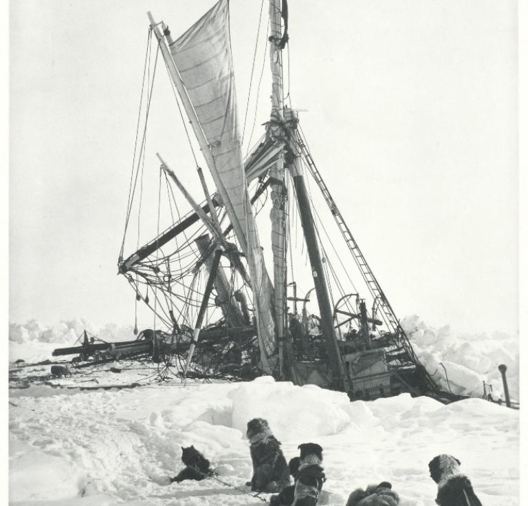 Expedition ship Endurance 