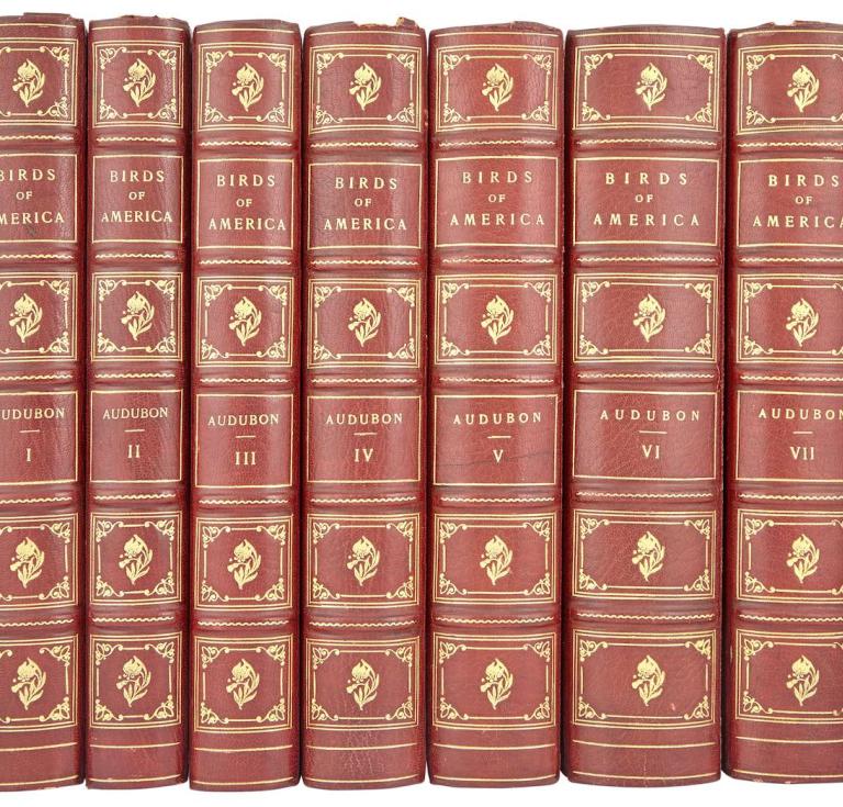 Audubon's The Birds of America 