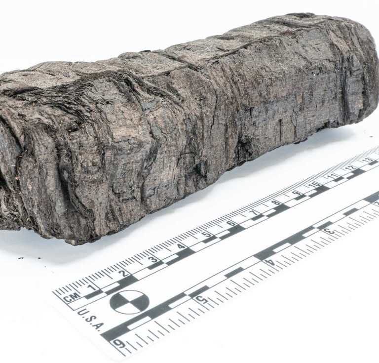 Scroll PHerc. 172, one of three Herculaneum scrolls housed at the Bodleian Libraries