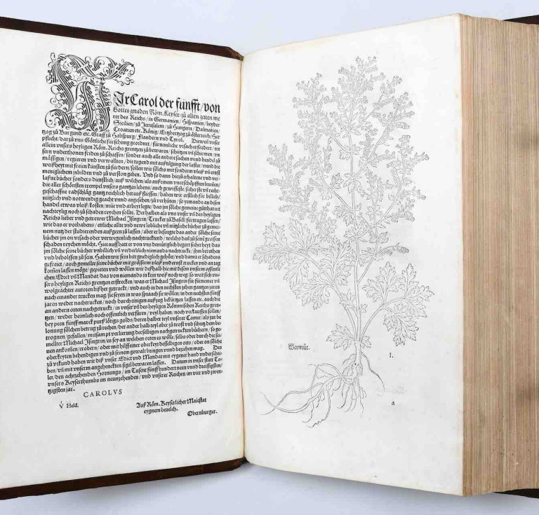 Leonhart Fuchs' New Kreüterbuch